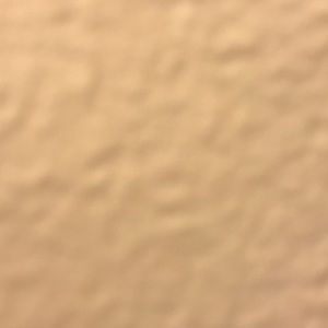 Meet your Posher, Tricia